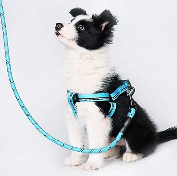 ARNES REFLECTANTE PARA MASCOTAS
