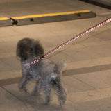 ARNES REFLECTANTE PARA MASCOTAS