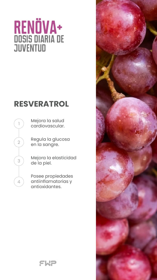 COLAGENO HIDROLIZADO RENOVA+